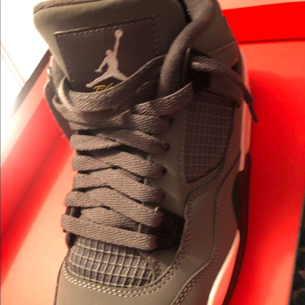 Cool grey Jordan 4